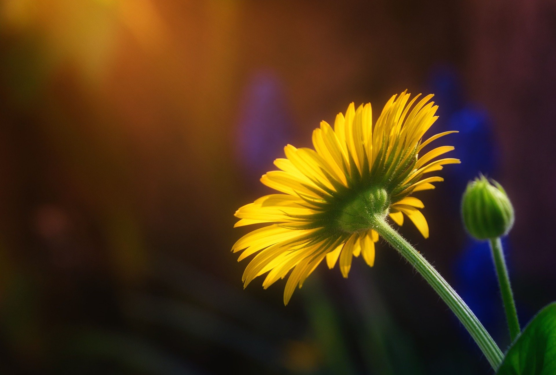 メンタルを整えることが大事