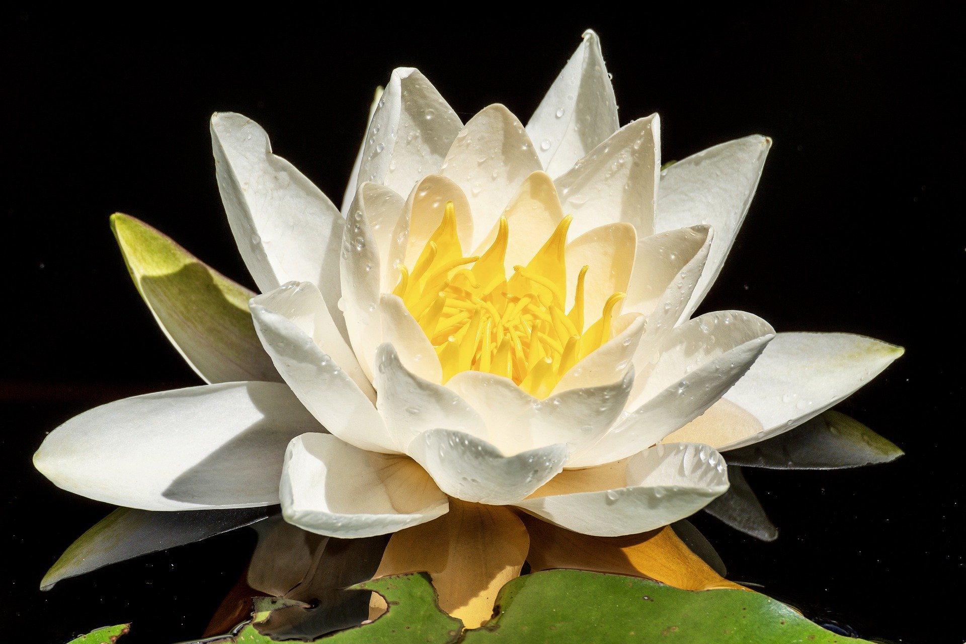 カウンセリング力とは人間力